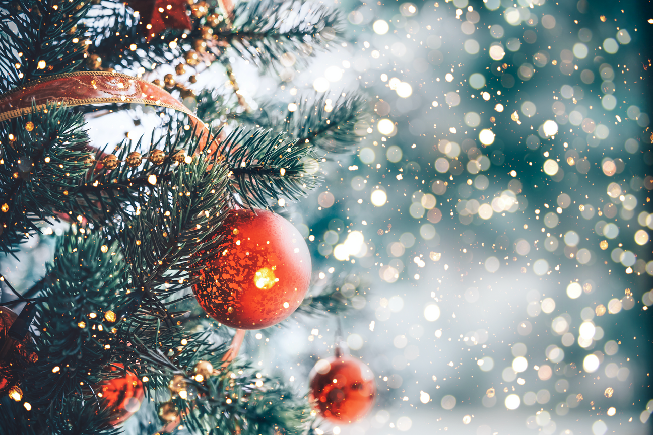 My Holiday Survival Guide Part 1 - Maintain Immune System