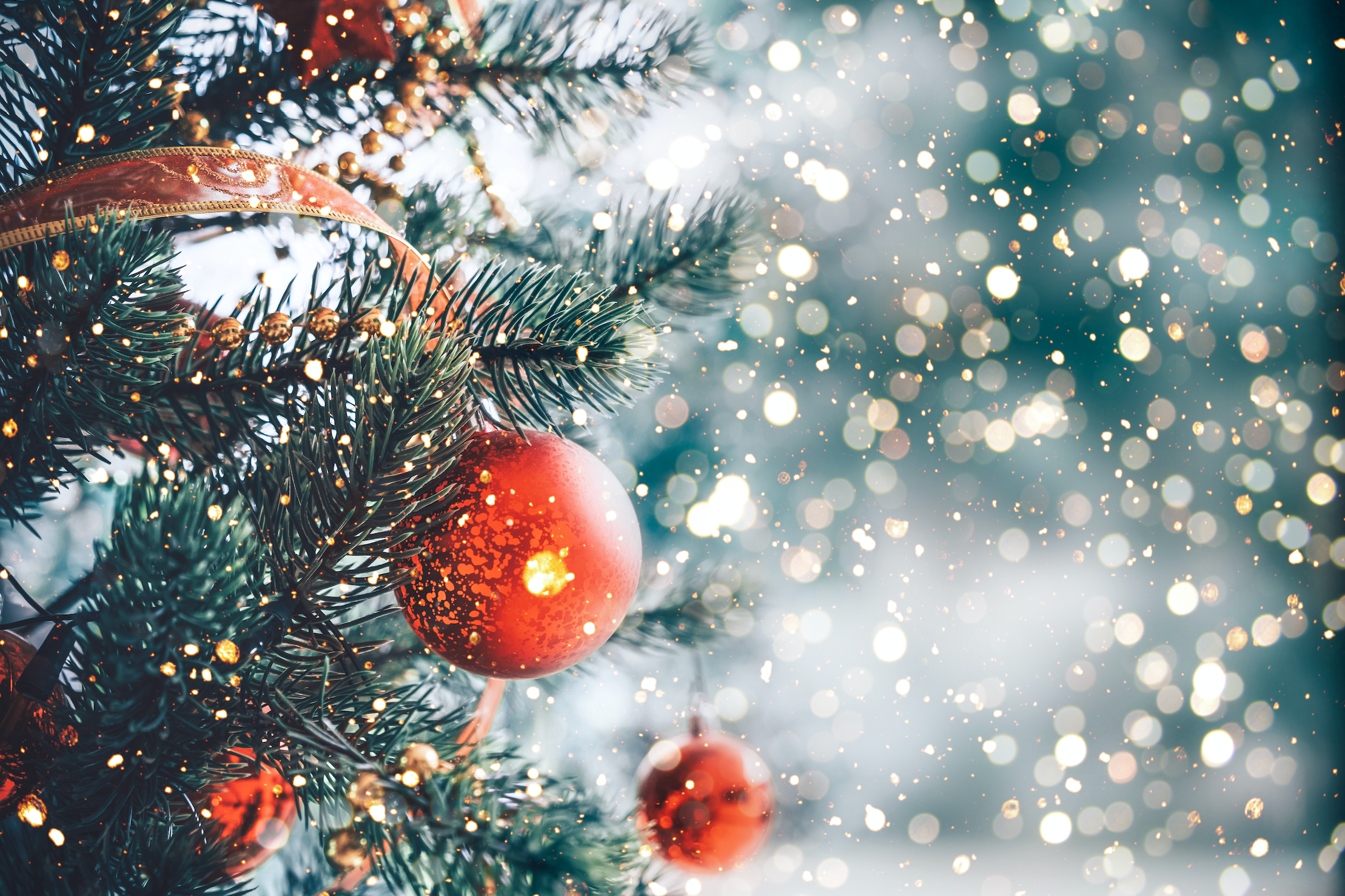 My Holiday Survival Guide Part 1 - Maintain Immune System